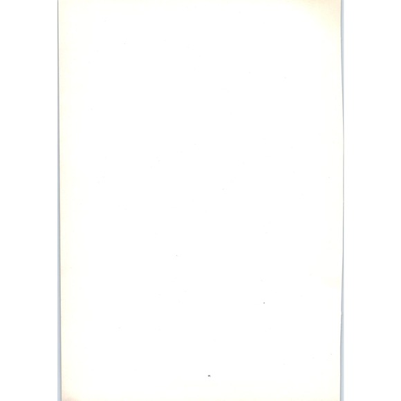 Portrait of a Lady - Palma Vecchio c1905 Art Print D14 - Picture 2 of 2